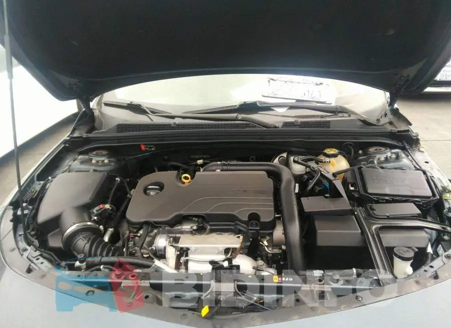 1G1ZD5ST9KF158152 Photo# 10