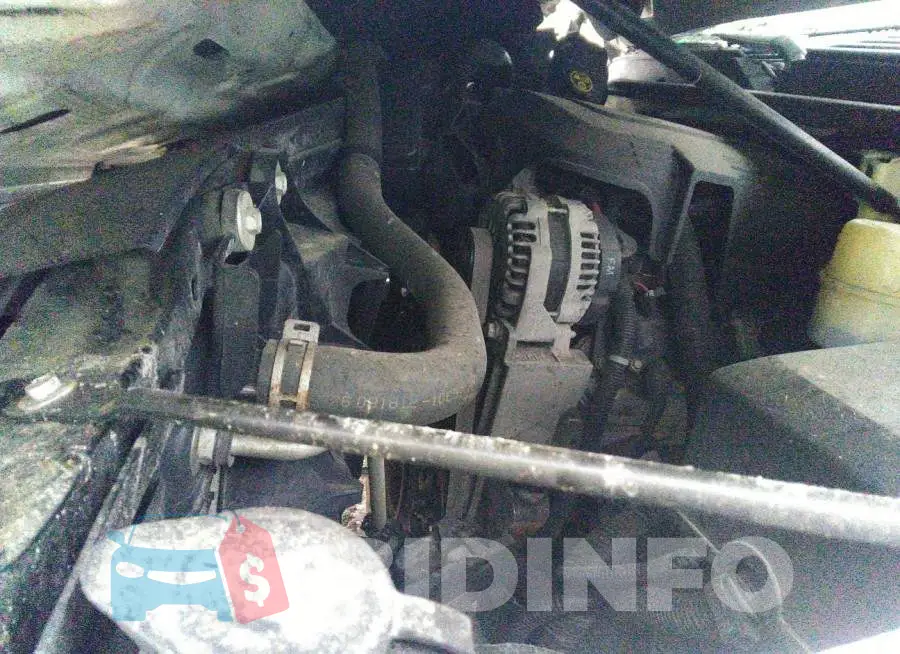 1GNSKCE05DR177195 Photo# 10