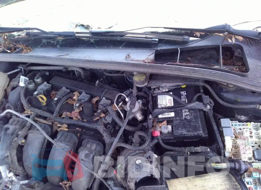 1FADP3F27GL360856 Photo# 10