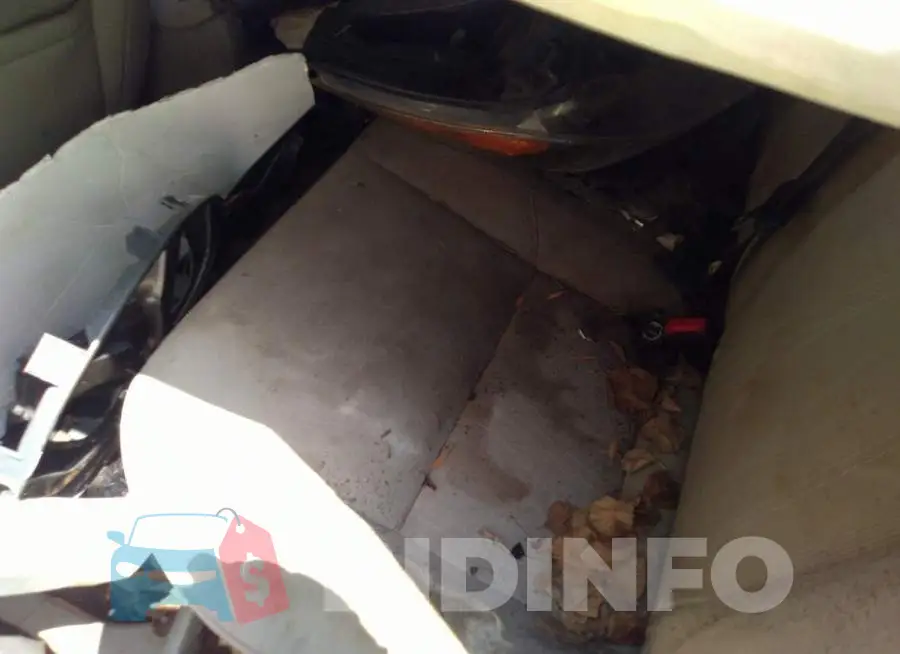 1FADP3F27GL360856 Photo# 8