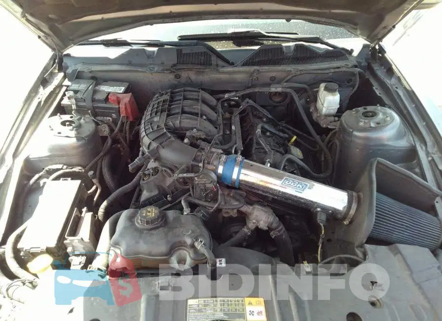 1ZVBP8AM4E5295342 Photo# 10