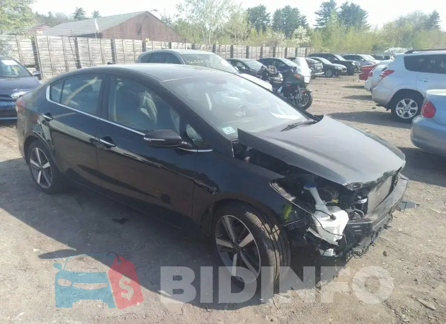 3KPFL4A85HE141663 Photo# 1