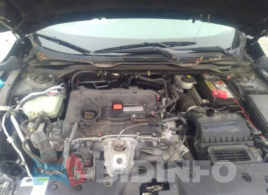 19XFC2F52HE061207 Photo# 10