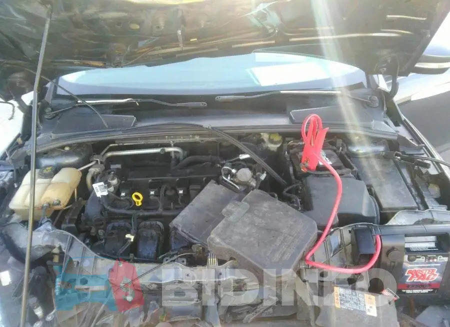 1FADP3F20GL329657 Photo# 10