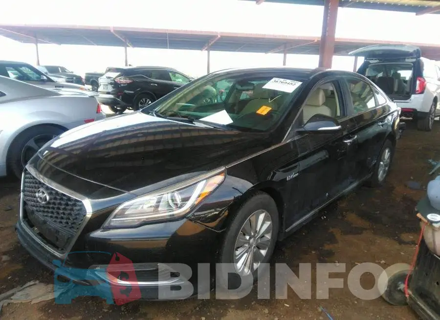 KMHE24L18GA024672 Photo# 2