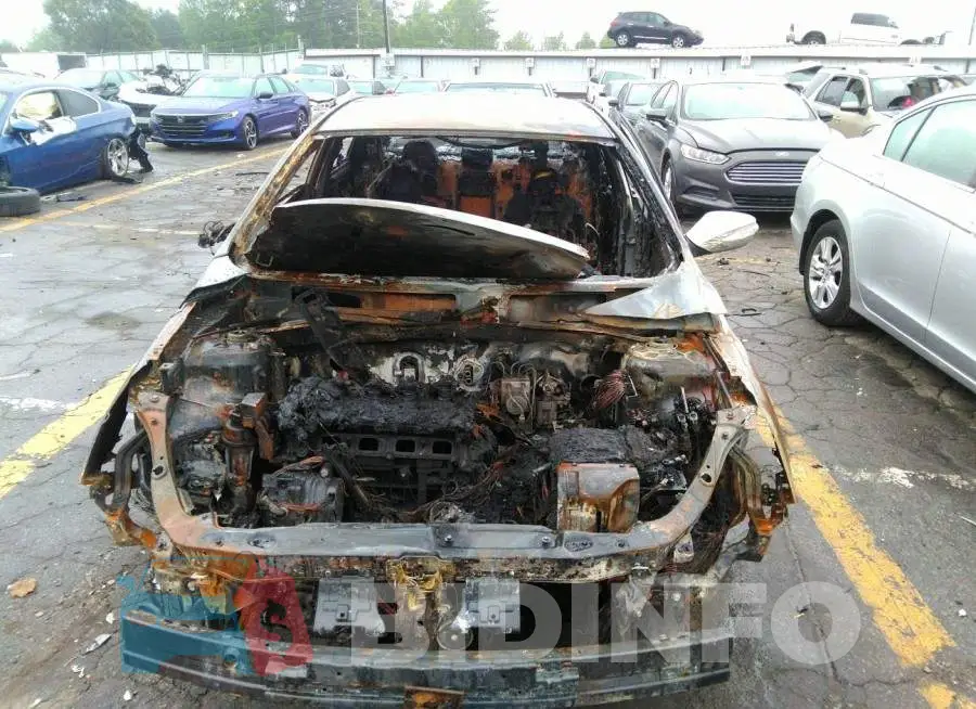 KMHEC4A41FA137212 Photo# 6