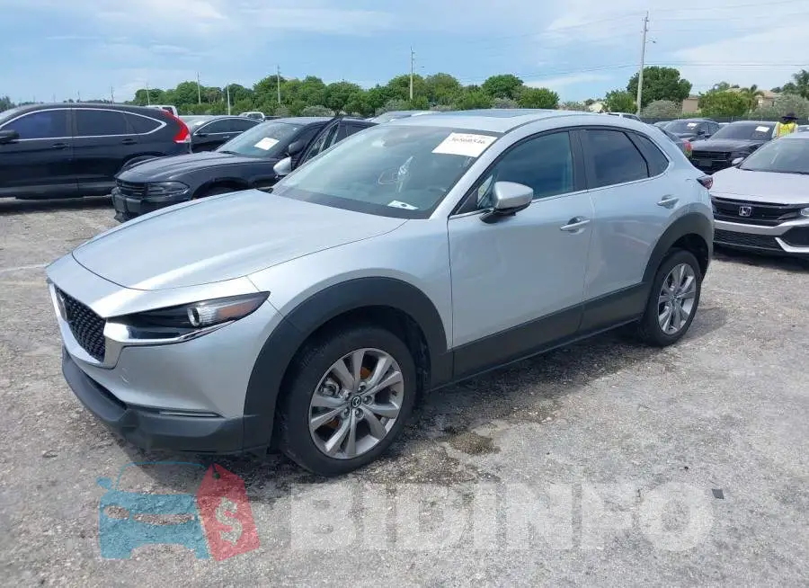 3MVDMACL7MM252587 Photo# 2