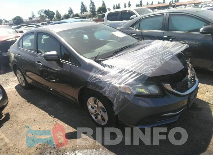 19XFB2F51EE229465 Photo# 1