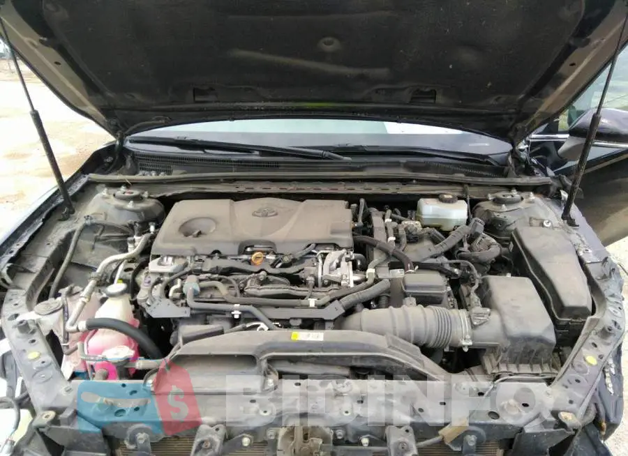 4T1F31AK6LU543322 Photo# 10