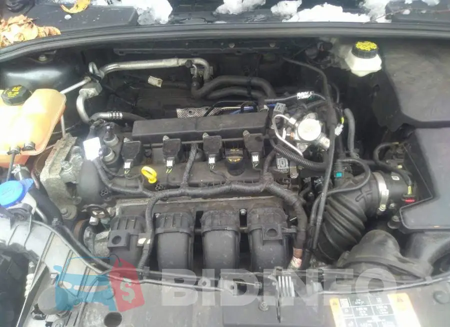 1FADP3F2XHL348105 Photo# 10