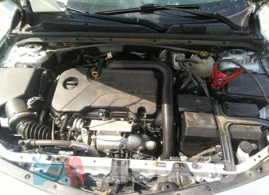 1G1ZB5ST2LF015325 Photo# 10