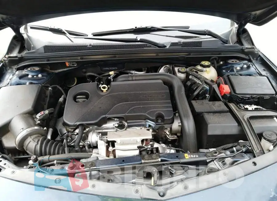 1G1ZD5ST7KF205372 Photo# 10