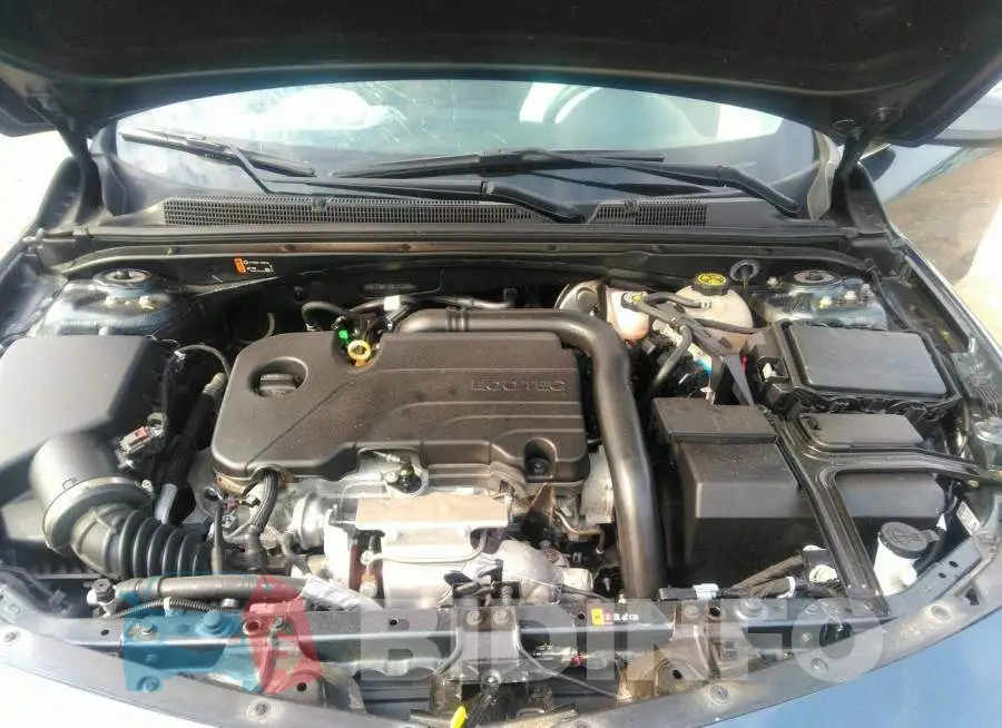 1G1ZD5ST5MF073389 Photo# 10