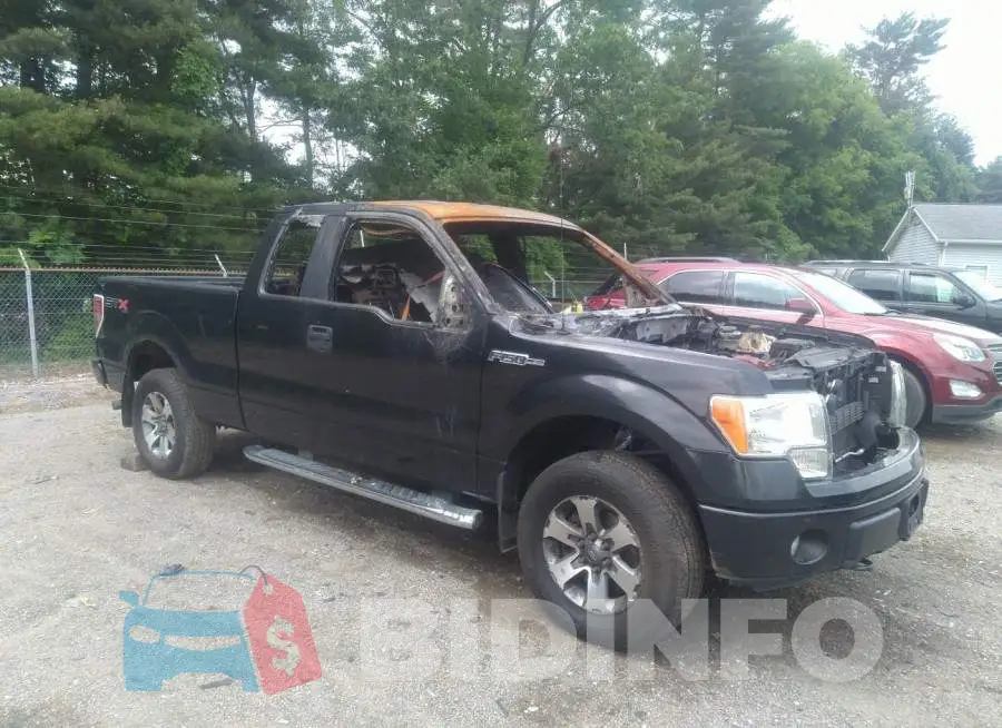 1FTFX1EF1DFD80820 Photo# 1