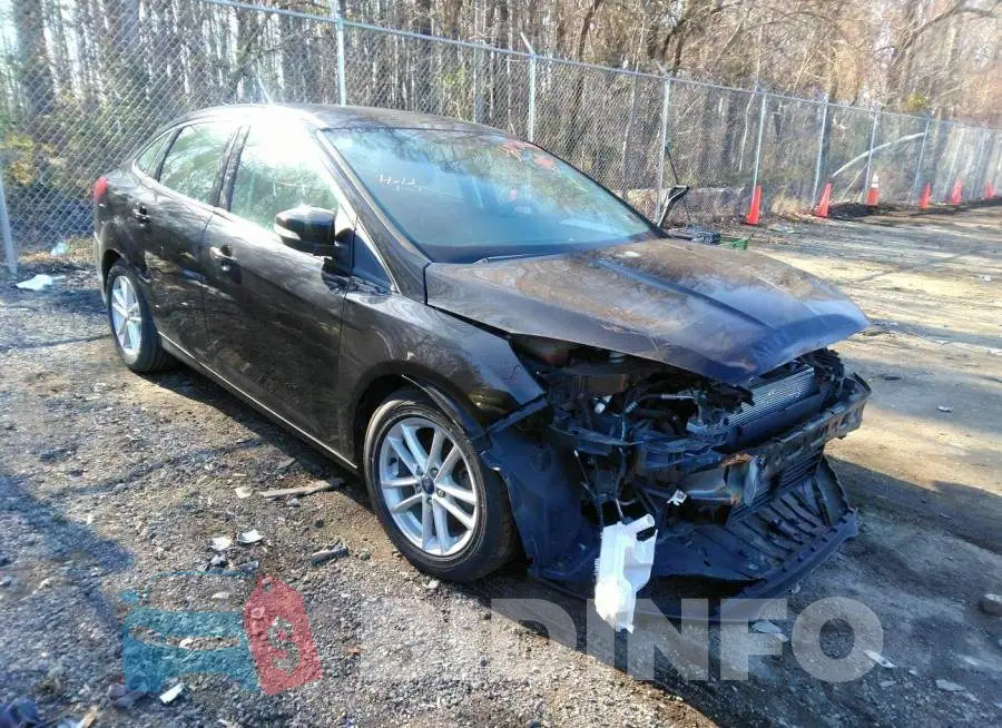 1FADP3F23GL406697 Photo# 1