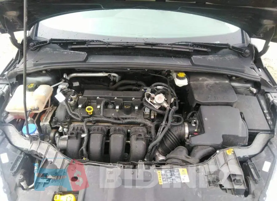 1FADP3K20HL203032 Photo# 10