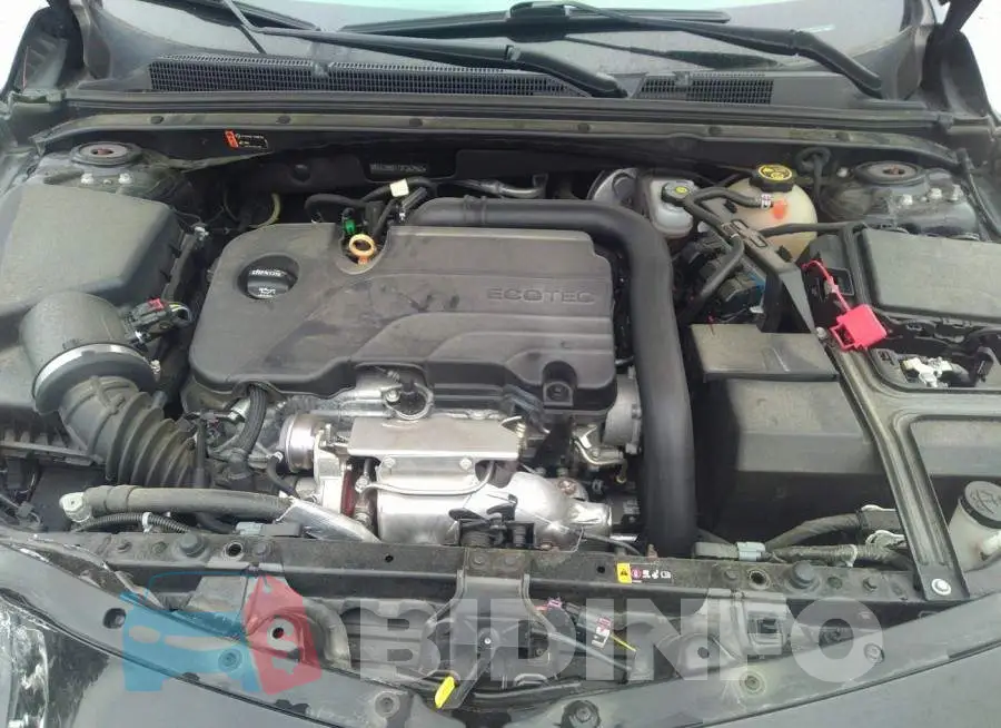 1G1ZD5ST7JF262962 Photo# 10