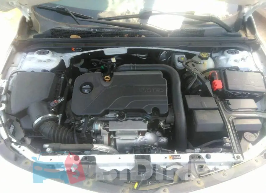 1G1ZD5ST1KF112623 Photo# 10