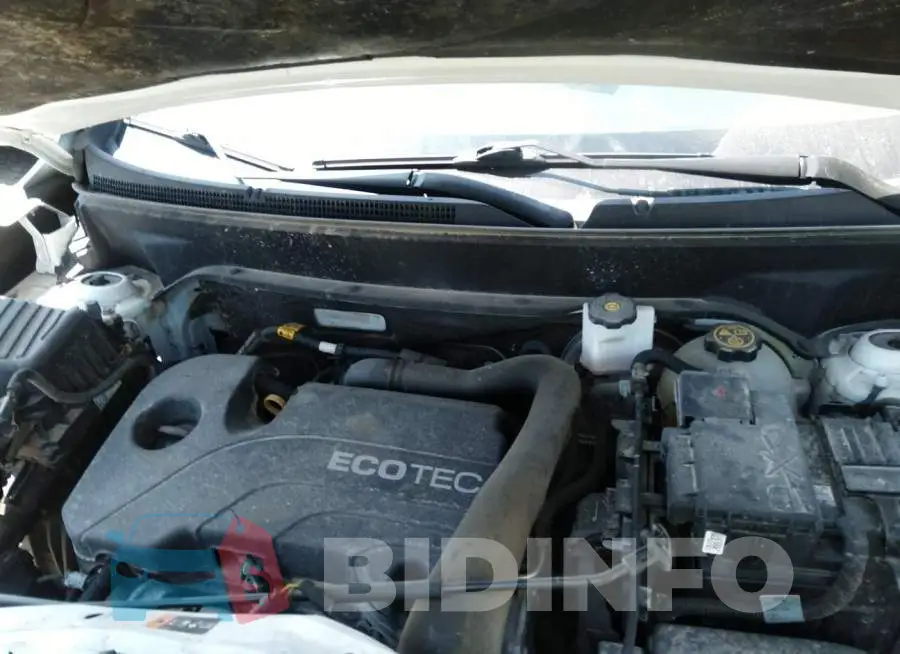 2GNAXTEV1L6246161 Photo# 10