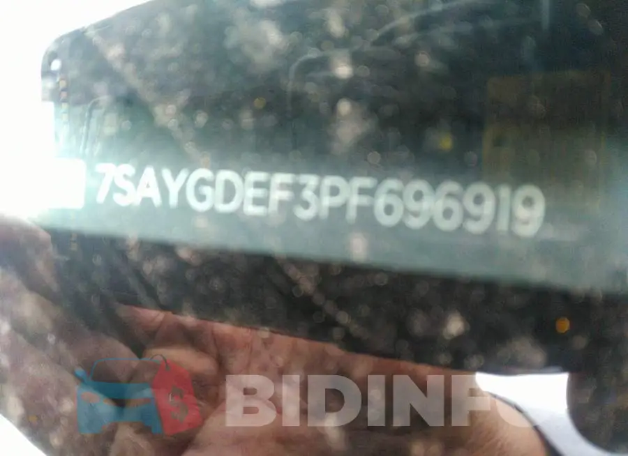 7SAYGDEF3PF696919 Photo# 9
