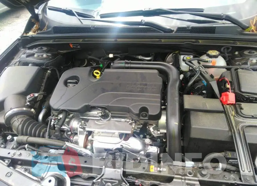1G1ZD5ST5NF207237 Photo# 10