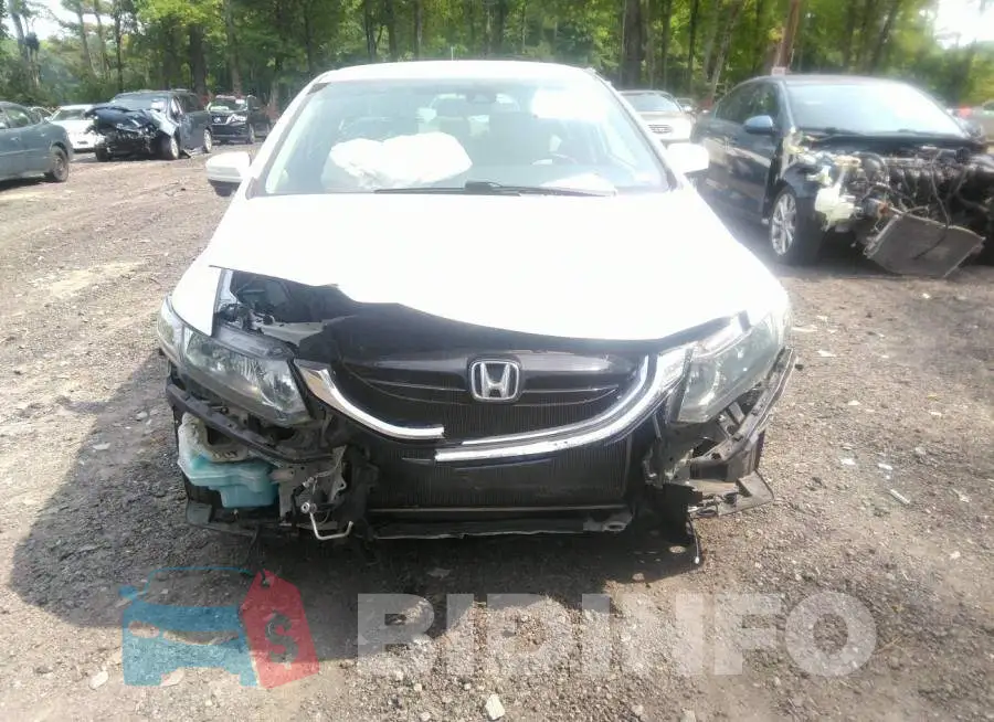 19XFB4F20EE002186 Photo# 6