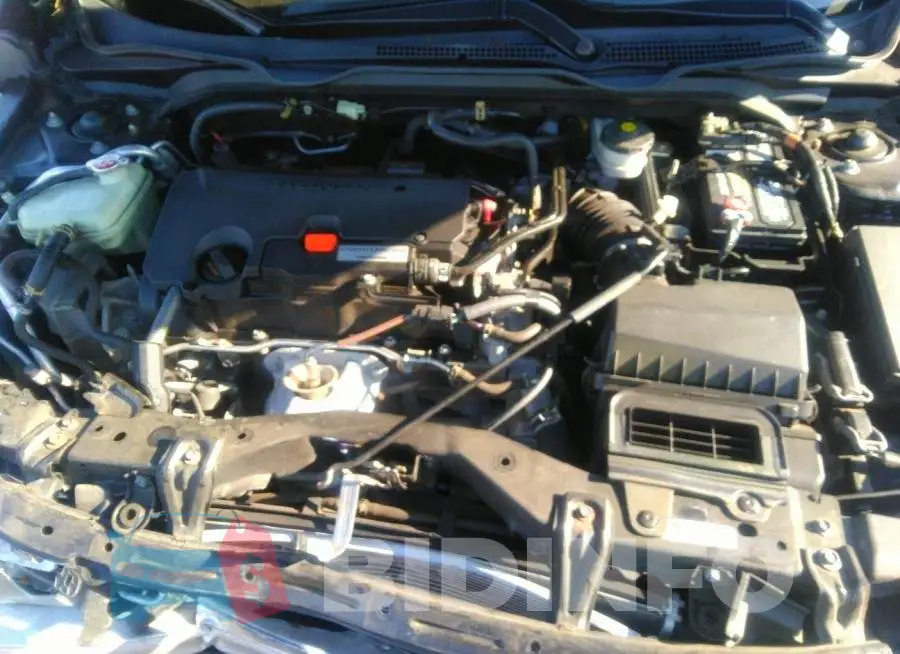 19XFC2F59HE210244 Photo# 10