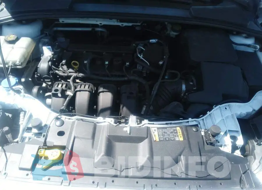 1FADP3F29FL270249 Photo# 10