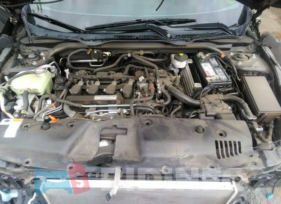 19XFC1F36HE203048 Photo# 10