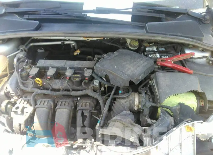 1FADP3F26DL333501 Photo# 6