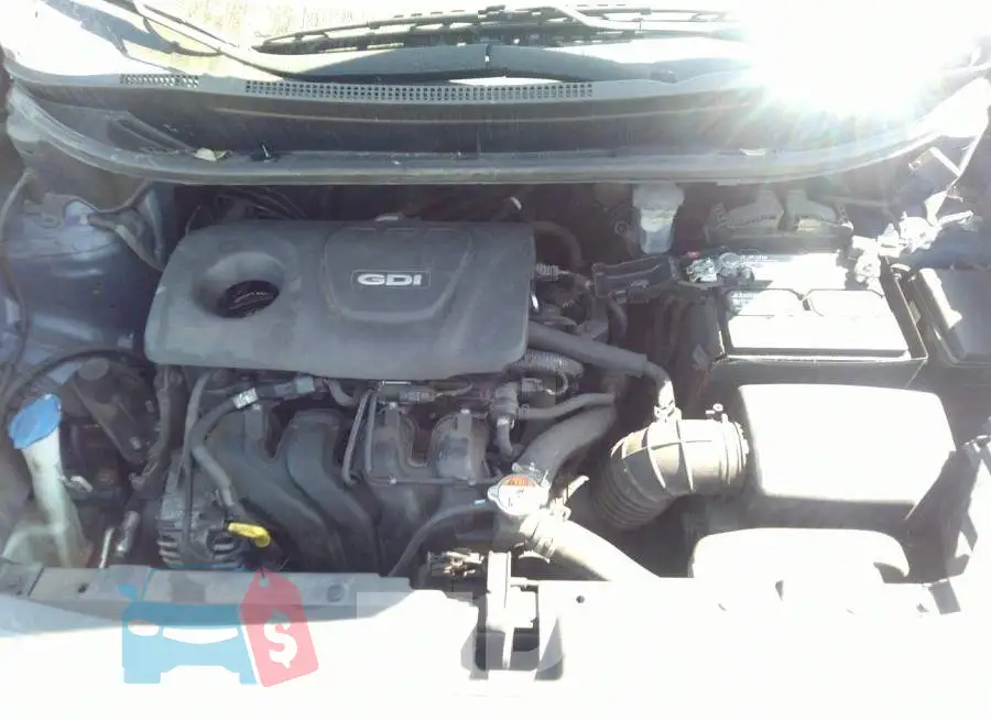 KNADM4A33G6600134 Photo# 10