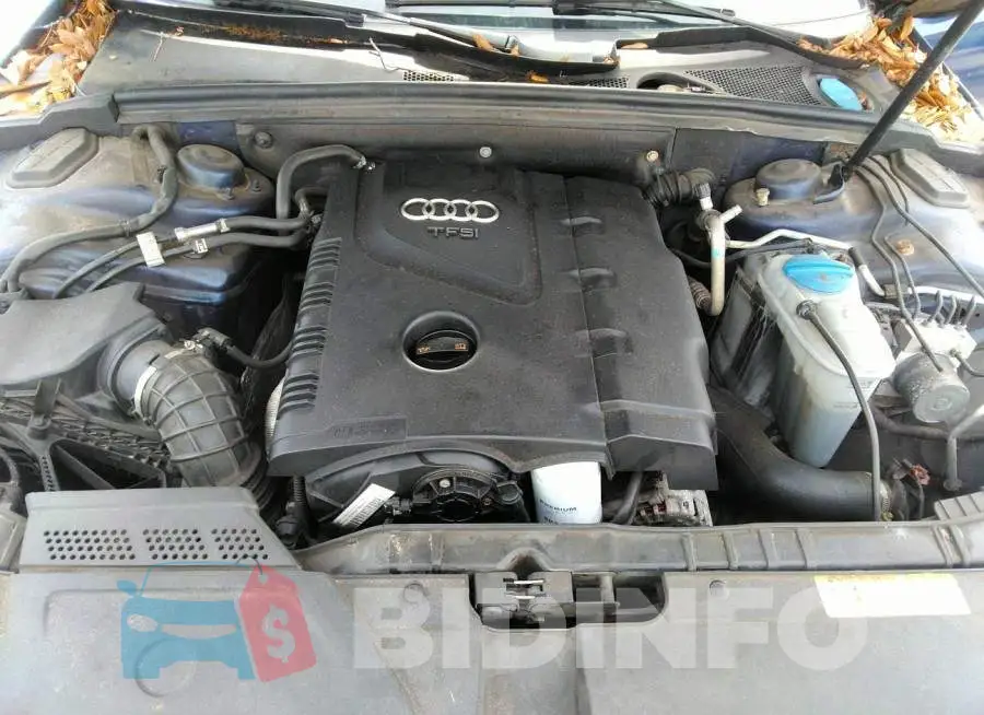 WAUBFAFL2DN044313 Photo# 10