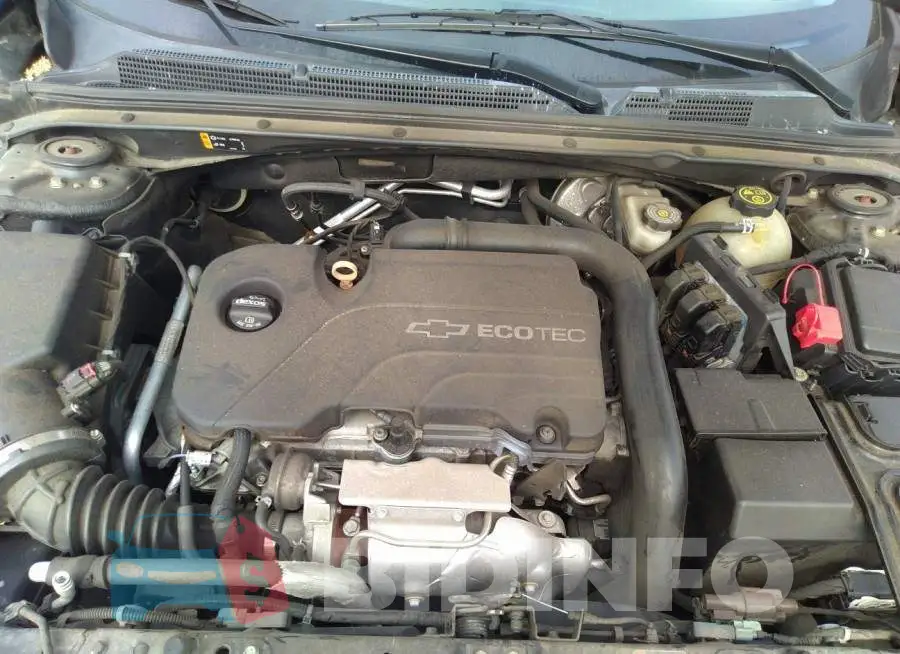 1G1ZE5ST3GF244187 Photo# 10