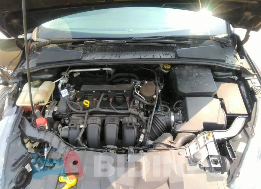 1FADP3F29FL200475 Photo# 10