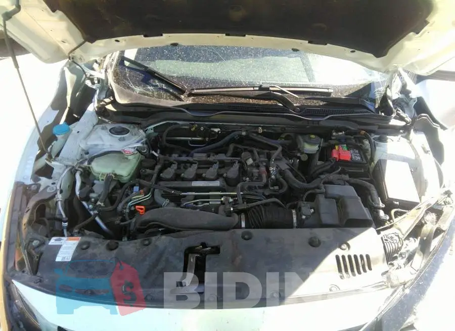 19XFC1F31KE013097 Photo# 10
