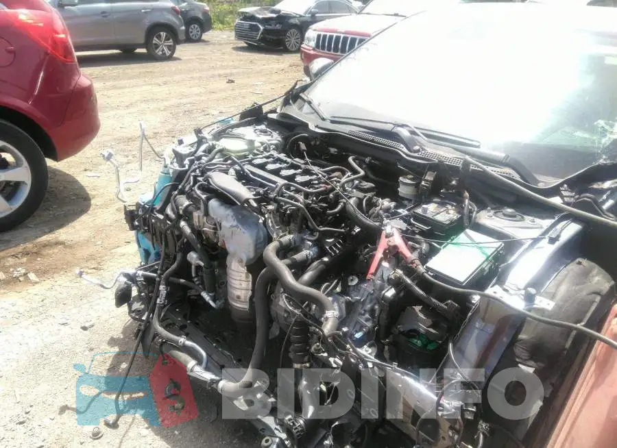 19XFC1F75LE022194 Photo# 6