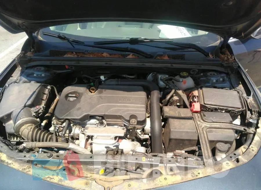 1G1ZD5ST4KF159824 Photo# 10