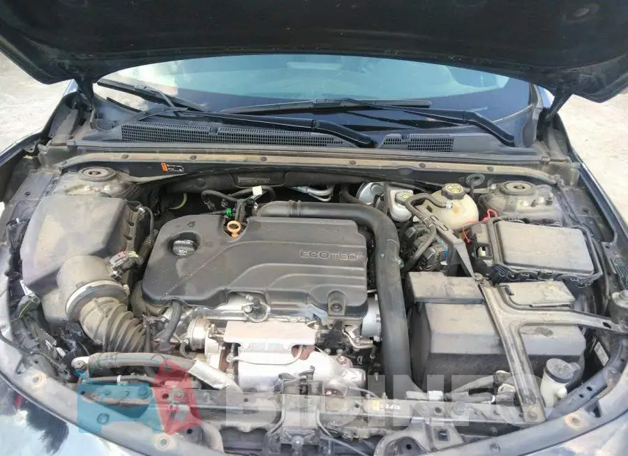 1G1ZD5ST9KF177705 Photo# 10