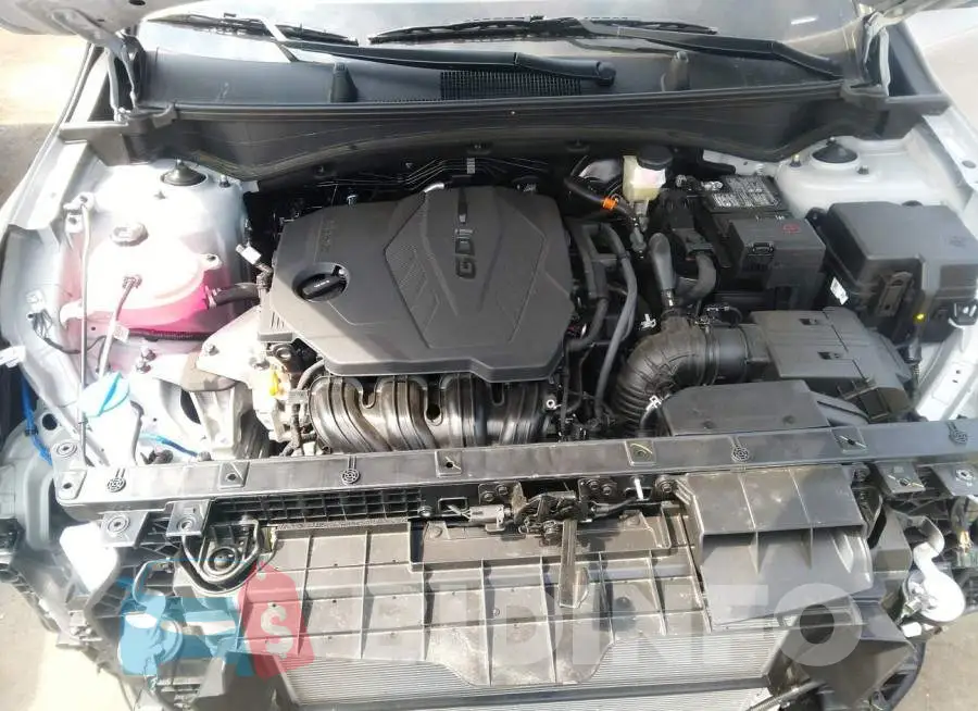 5XYK6CAF8PG103411 Photo# 10