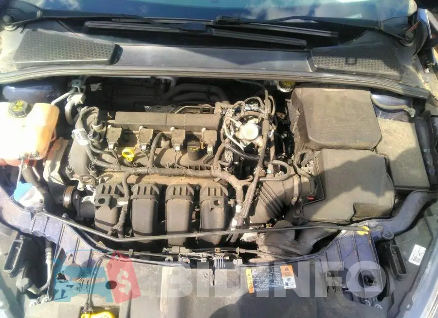 1FADP3F22GL350607 Photo# 10