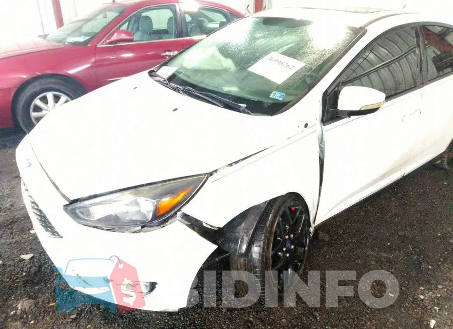 1FADP3F26GL207241 Photo# 6