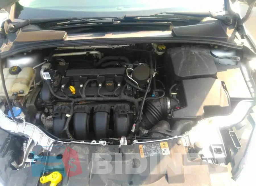 1FADP3E29GL219045 Photo# 10