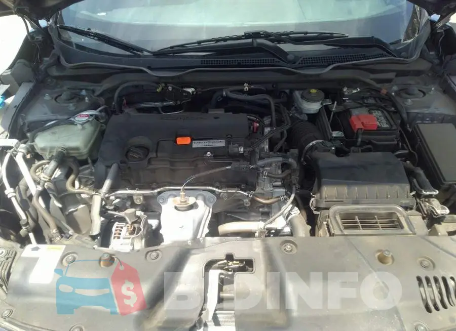 19XFC2F81LE207955 Photo# 10