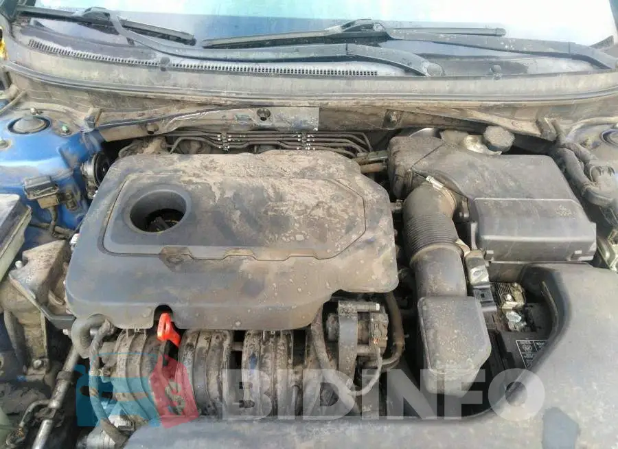 5NPE24AF6FH081477 Photo# 10