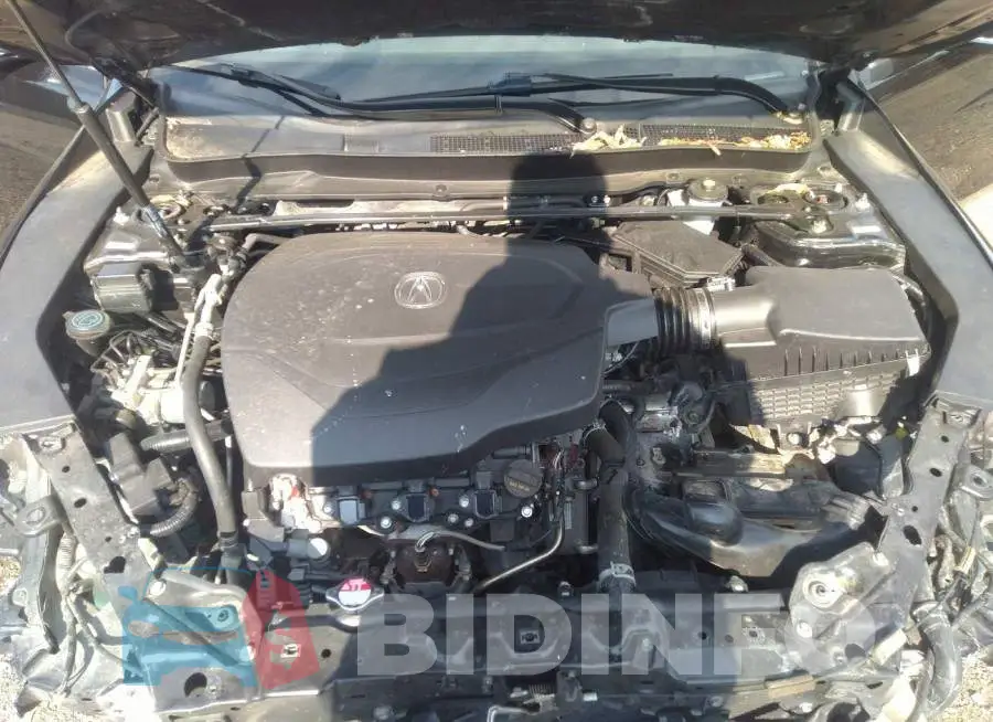 19UUB2F69KA006865 Photo# 10