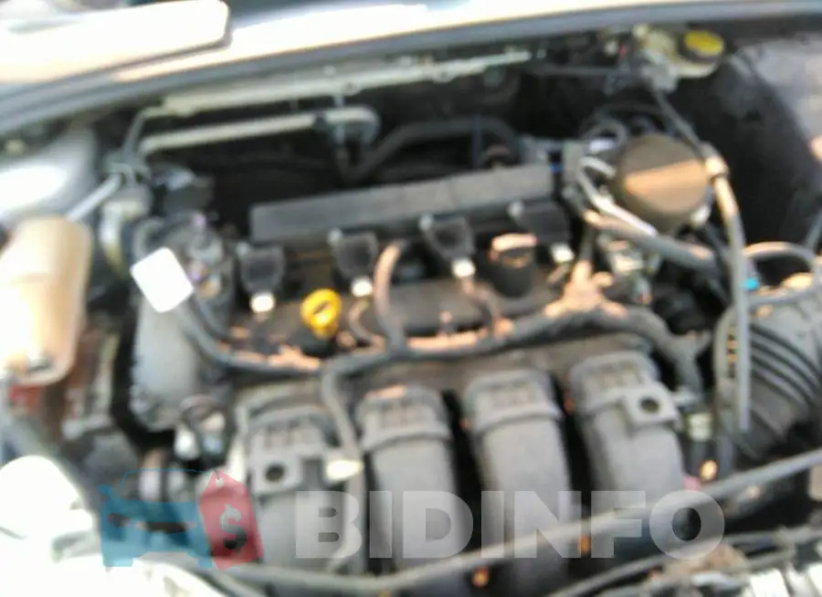 1FADP3F20GL251509 Photo# 10