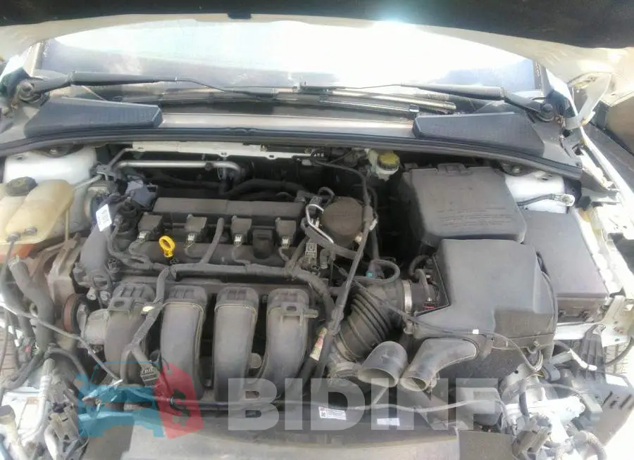 1FADP3K2XFL290435 Photo# 10