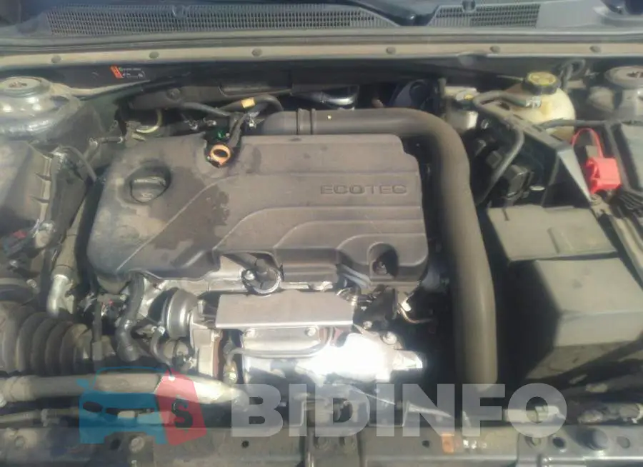1G1ZD5ST5KF209565 Photo# 10