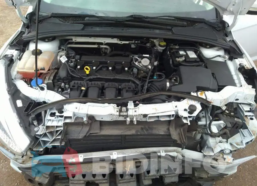 1FADP3K25GL391285 Photo# 10