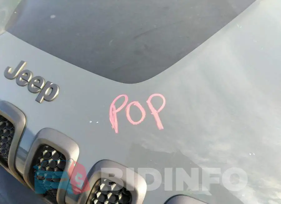 1C4PJMBS8EW189034 Photo# 10